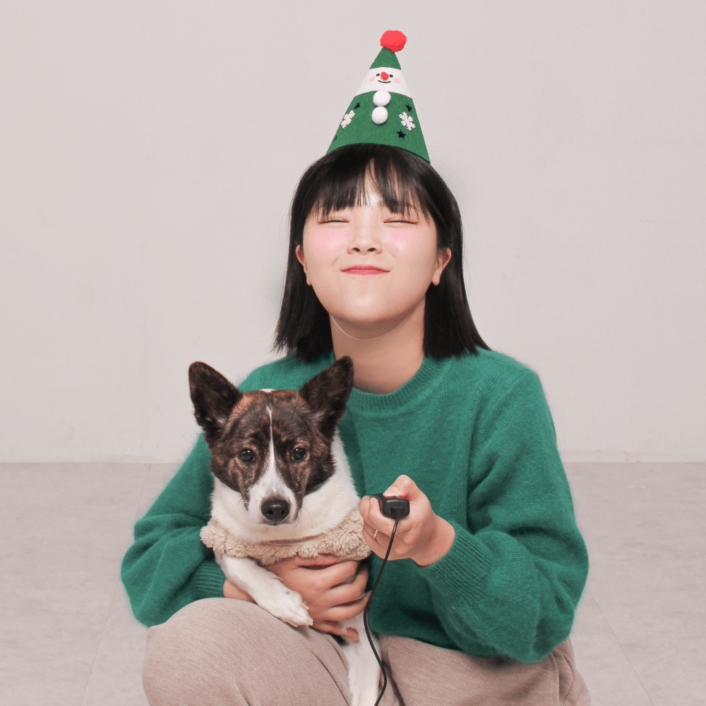 민정